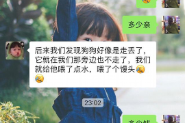 睢县企业清欠服务